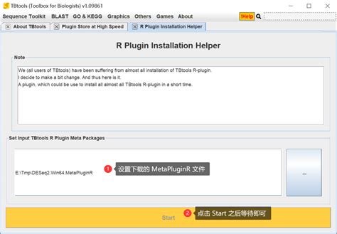 Plugin installation (插件安装) .